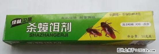 【紧急提醒】如果有“防疫站工作人员”上门灭杀蟑螂，请立刻报警 - 灌水专区 - 嘉兴生活社区 - 嘉兴28生活网 jx.28life.net