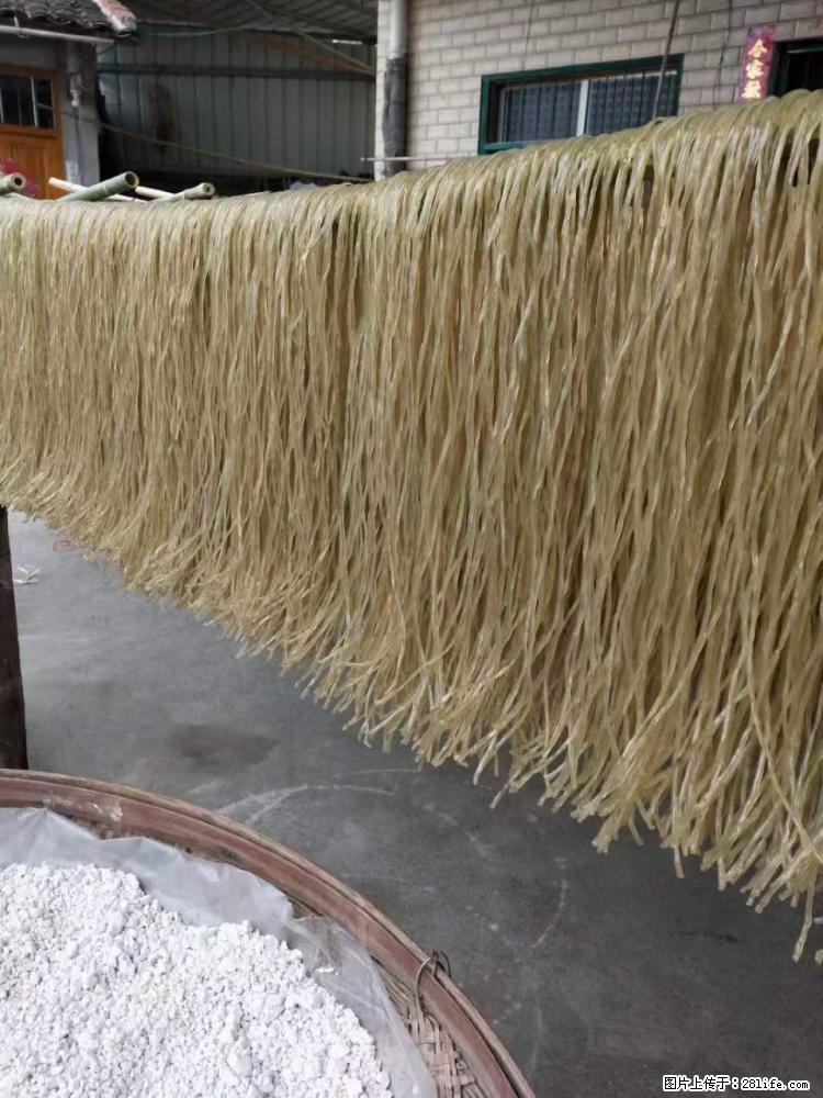 【灌阳正宗红薯粉】美女家里自己做的，干净卫生，假一赔十，价格合理，抢购电话：13737312895 - 美食天地 - 嘉兴生活社区 - 嘉兴28生活网 jx.28life.net
