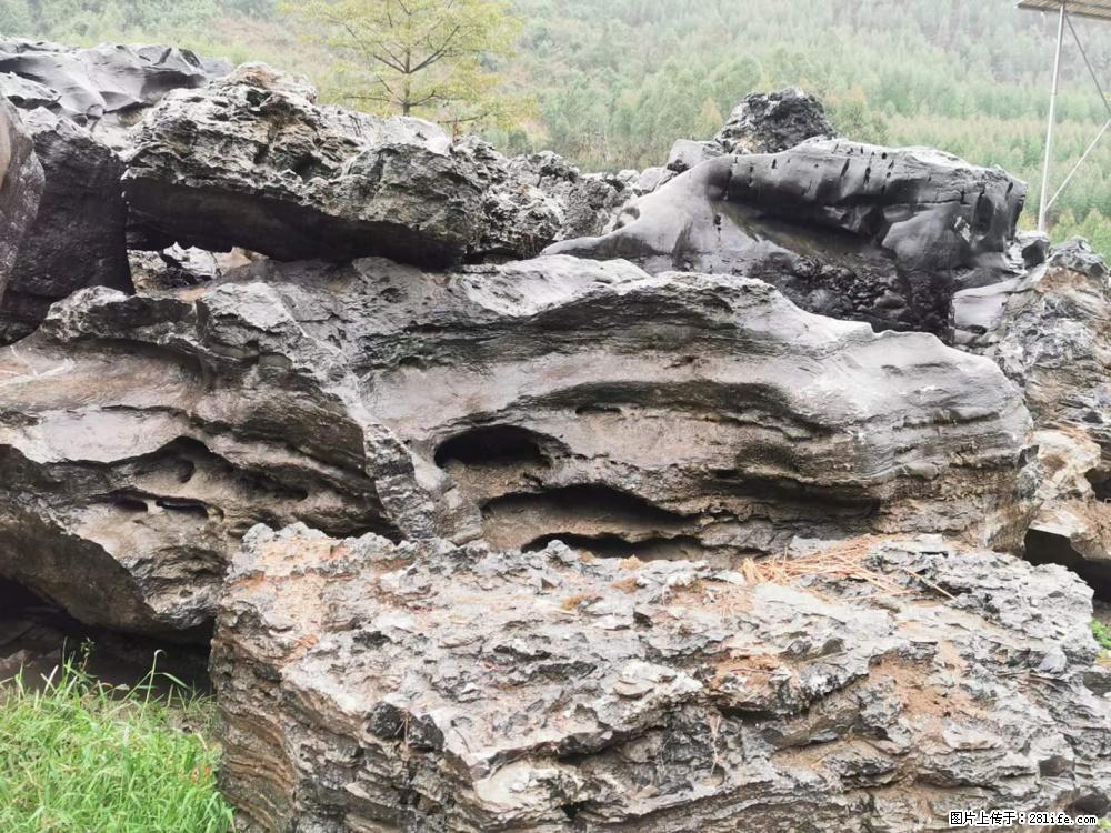 风景石、假山石大量有货，有需要的欢迎联系 - 新手上路 - 嘉兴生活社区 - 嘉兴28生活网 jx.28life.net