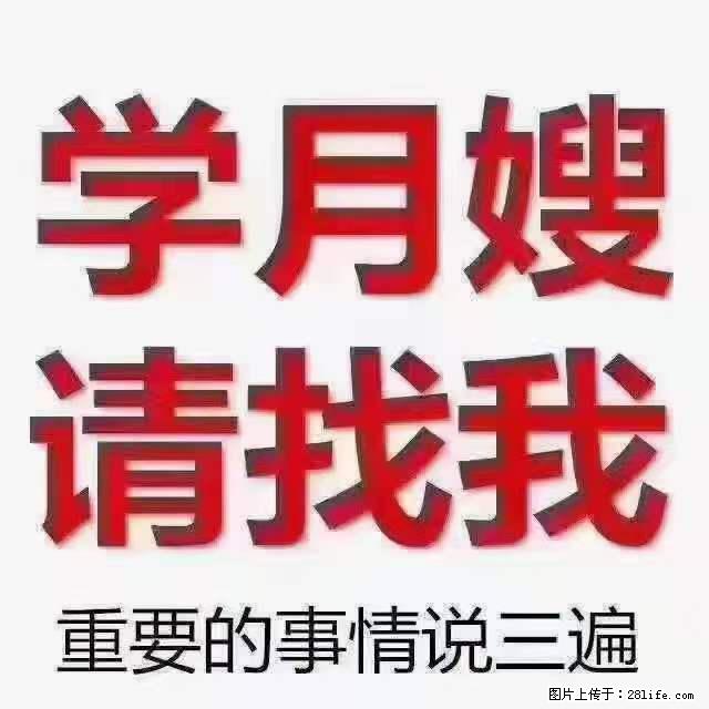 为什么要学习月嫂，育婴师？ - 新手上路 - 嘉兴生活社区 - 嘉兴28生活网 jx.28life.net