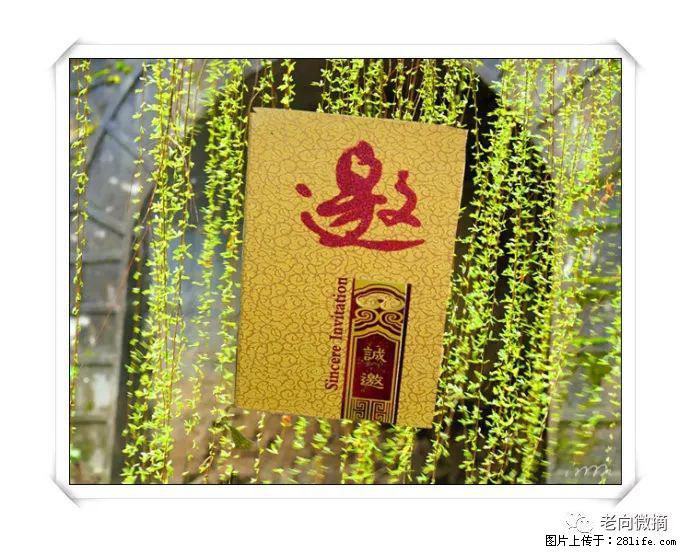 【春天，广西桂林灌阳县向您发出邀请！】开篇 - 游山玩水 - 嘉兴生活社区 - 嘉兴28生活网 jx.28life.net