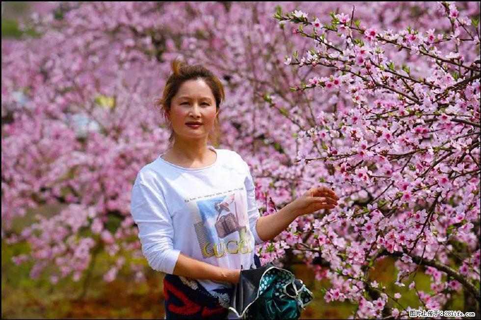 【春天，广西桂林灌阳县向您发出邀请！】官庄村有个醉美的桃花园 - 游山玩水 - 嘉兴生活社区 - 嘉兴28生活网 jx.28life.net