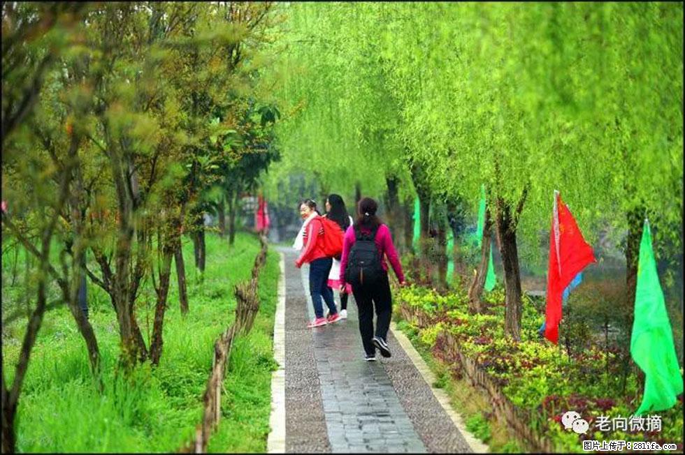 【春天，广西桂林灌阳县向您发出邀请！】江口老街又逢春 - 游山玩水 - 嘉兴生活社区 - 嘉兴28生活网 jx.28life.net