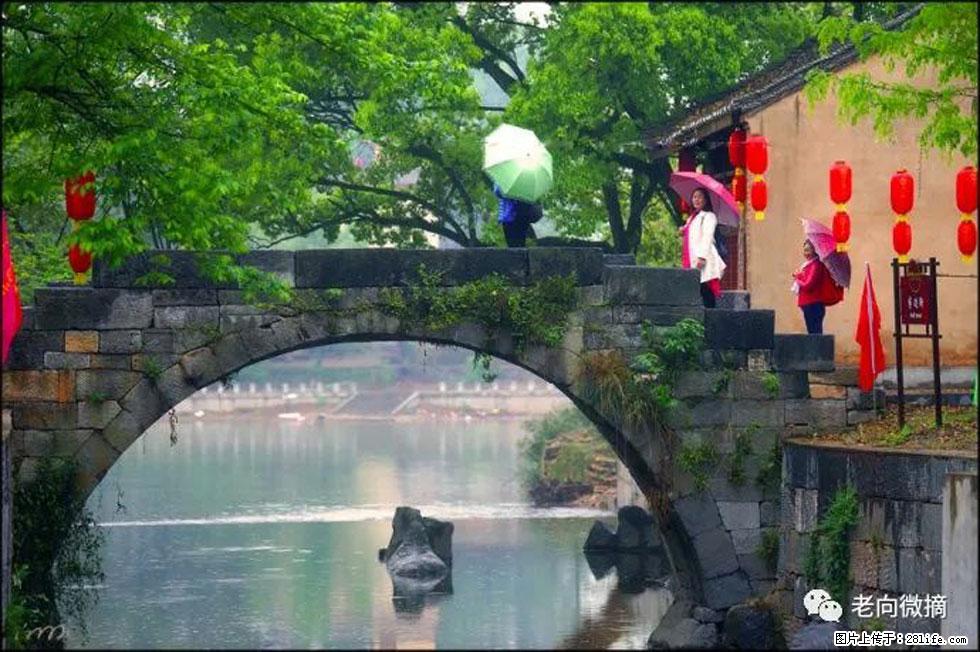 【春天，广西桂林灌阳县向您发出邀请！】江口老街又逢春 - 游山玩水 - 嘉兴生活社区 - 嘉兴28生活网 jx.28life.net