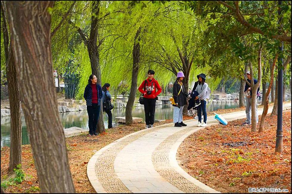 【春天，广西桂林灌阳县向您发出邀请！】江口老街又逢春 - 游山玩水 - 嘉兴生活社区 - 嘉兴28生活网 jx.28life.net