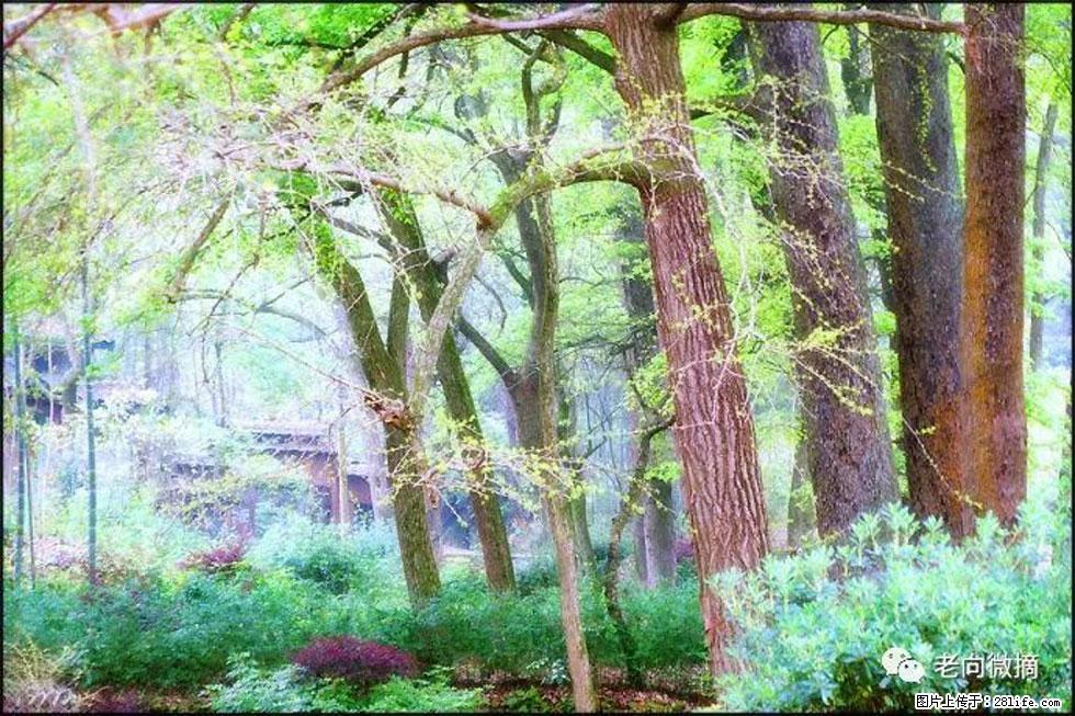 【春天，广西桂林灌阳县向您发出邀请！】在小龙村与春天约会 - 游山玩水 - 嘉兴生活社区 - 嘉兴28生活网 jx.28life.net