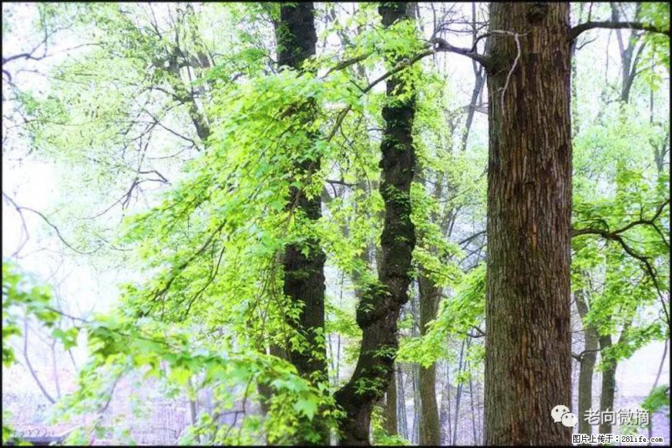 【春天，广西桂林灌阳县向您发出邀请！】在小龙村与春天约会 - 游山玩水 - 嘉兴生活社区 - 嘉兴28生活网 jx.28life.net