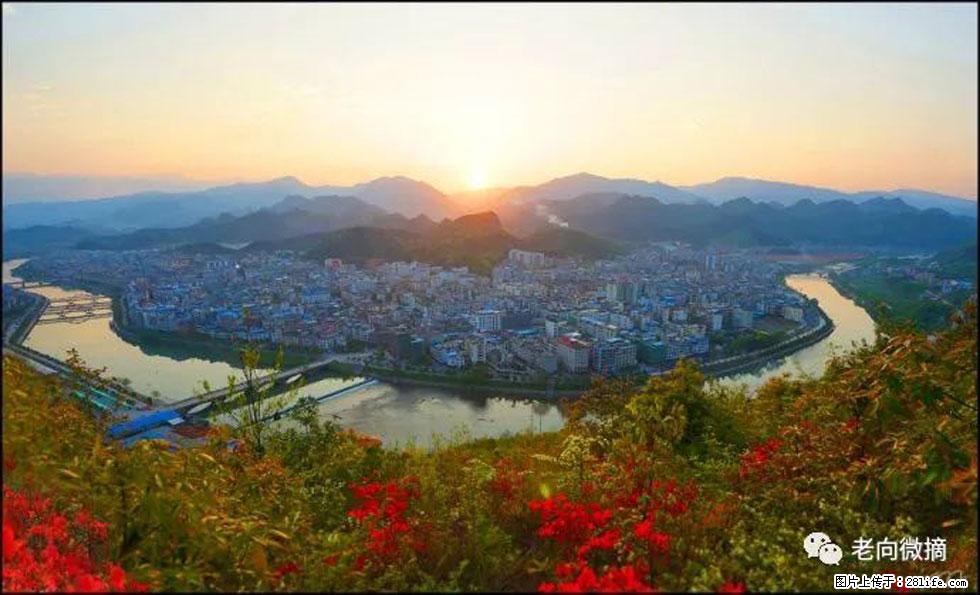【春天，广西桂林灌阳县向您发出邀请！】登麒麟山，相约映山红 - 游山玩水 - 嘉兴生活社区 - 嘉兴28生活网 jx.28life.net