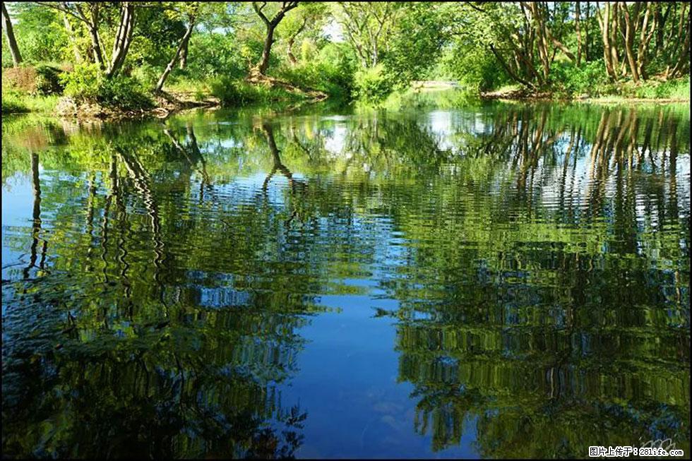 【春天，广西桂林灌阳县向您发出邀请！】熊家寨湿地公园 - 游山玩水 - 嘉兴生活社区 - 嘉兴28生活网 jx.28life.net
