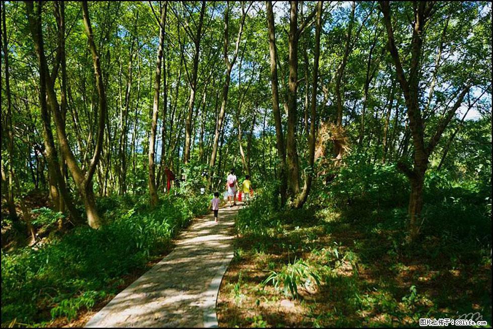 【春天，广西桂林灌阳县向您发出邀请！】熊家寨湿地公园 - 游山玩水 - 嘉兴生活社区 - 嘉兴28生活网 jx.28life.net