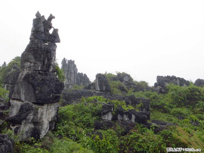 桂林旅游名城景点：灌阳文市石林 - 游山玩水 - 嘉兴生活社区 - 嘉兴28生活网 jx.28life.net