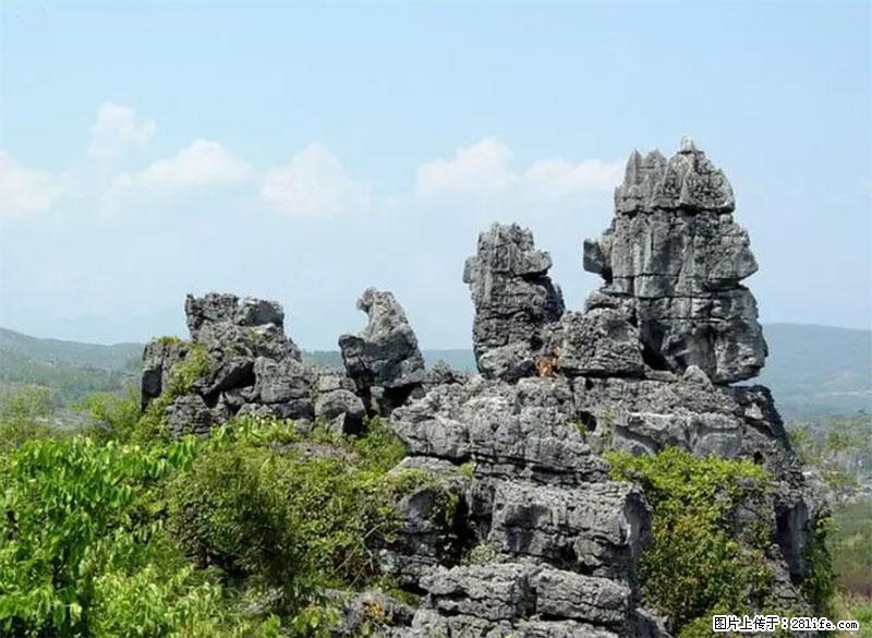桂林旅游名城景点：灌阳文市石林 - 游山玩水 - 嘉兴生活社区 - 嘉兴28生活网 jx.28life.net