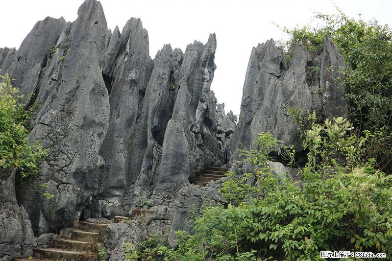 桂林旅游名城景点：灌阳文市石林 - 游山玩水 - 嘉兴生活社区 - 嘉兴28生活网 jx.28life.net