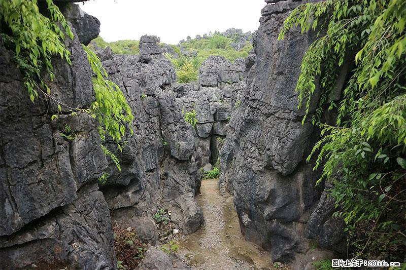 桂林旅游名城景点：灌阳文市石林 - 游山玩水 - 嘉兴生活社区 - 嘉兴28生活网 jx.28life.net