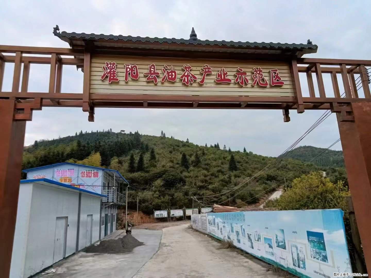 【灌阳县油茶产业示范区】一个有着充实的精神生活的人，对待身外之物自会有一种淡泊的态度 - 美食天地 - 嘉兴生活社区 - 嘉兴28生活网 jx.28life.net