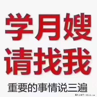 为什么要学习月嫂，育婴师？ - 嘉兴28生活网 jx.28life.net