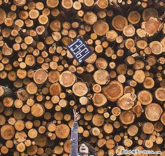 辞掉工作周游世界？现在他们在洗厕所…… - 游山玩水 - 嘉兴生活社区 - 嘉兴28生活网 jx.28life.net