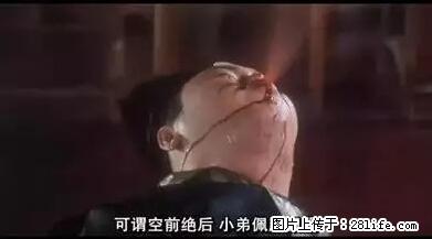 笑癫了！一女的怀孕三年未生，他终于忍不住了... - 娱乐八卦 - 嘉兴生活社区 - 嘉兴28生活网 jx.28life.net