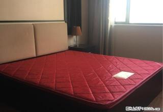 水果市场 大润发 嘉兴学院 嘉职院附近公寓出租 - 嘉兴28生活网 jx.28life.net