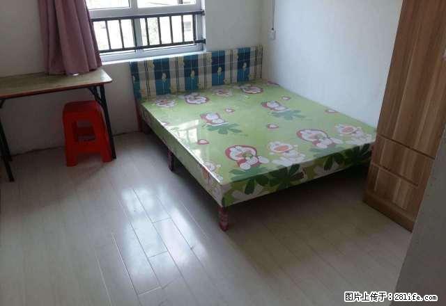(单间出租)新城朗香郡 4室2厅 中等装修 朝南 次卧 - 房屋出租 - 房屋租售 - 嘉兴分类信息 - 嘉兴28生活网 jx.28life.net