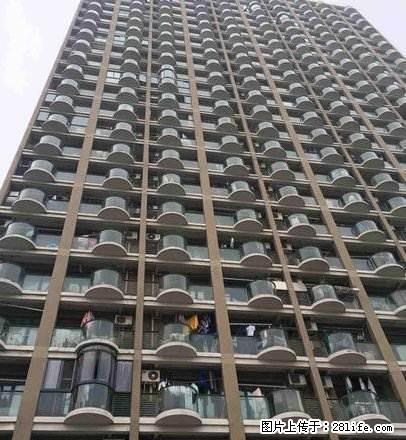八佰伴，嘉兴学院旁，精装单身公寓，拎包入住。 - 房屋出租 - 房屋租售 - 嘉兴分类信息 - 嘉兴28生活网 jx.28life.net