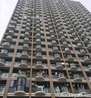 八佰伴，嘉兴学院旁，精装单身公寓，拎包入住。 - 嘉兴28生活网 jx.28life.net