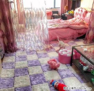 八佰伴 大润发附近 所有公寓这里都有1300起步 - 嘉兴28生活网 jx.28life.net