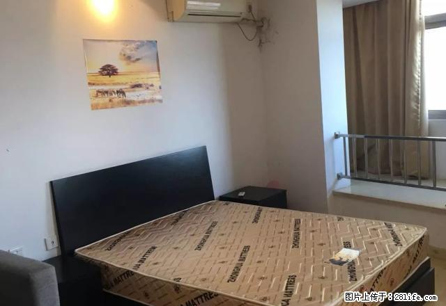 旭辉广场出租可做饭楼层好房子干净民用水电拎包入住随时看房多套 - 房屋出租 - 房屋租售 - 嘉兴分类信息 - 嘉兴28生活网 jx.28life.net