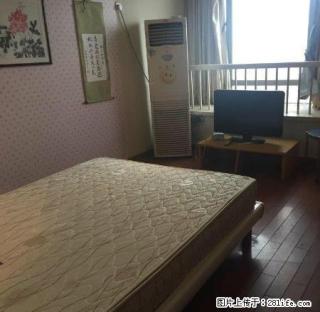 嘉华广场多套房源旭辉凯旋云都涌鑫名典泰富晴湾月星等等大量出租 - 嘉兴28生活网 jx.28life.net