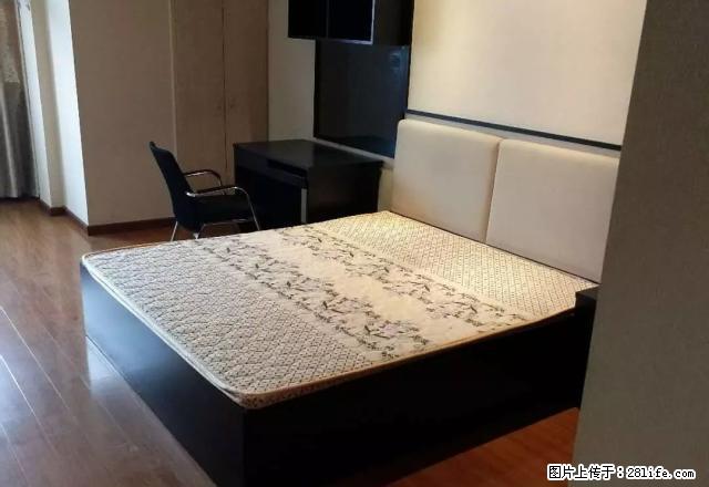 文昌路 新文化广场 精装单身公寓1300起 - 房屋出租 - 房屋租售 - 嘉兴分类信息 - 嘉兴28生活网 jx.28life.net