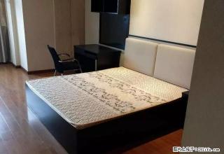 文昌路 新文化广场 精装单身公寓1300起 - 嘉兴28生活网 jx.28life.net