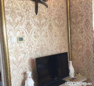 真实图片 江南摩尔 八佰伴 1300到2300 上百套 - 嘉兴28生活网 jx.28life.net