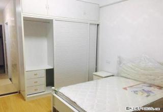 月星 新文化 颐高 泰富 元一柏庄 多套租1300至2000 - 嘉兴28生活网 jx.28life.net