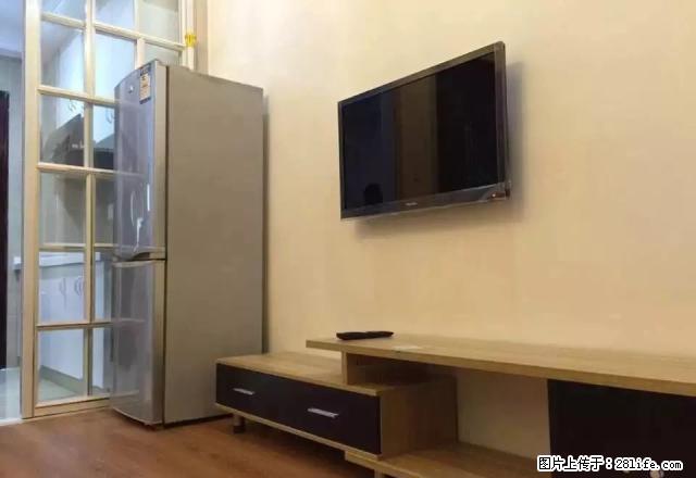 月星家居 单身公寓1400起多套钥匙 还有月付 - 房屋出租 - 房屋租售 - 嘉兴分类信息 - 嘉兴28生活网 jx.28life.net