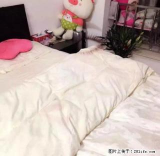 旭辉广场豪华装修 单身公寓 1700起步随时入住 多套 - 嘉兴28生活网 jx.28life.net