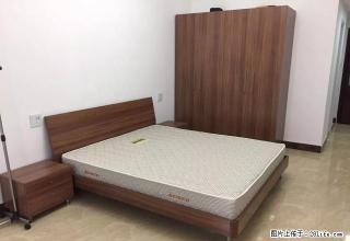 月星家居精装单身公寓朝南1500 包物业 拎包入住 - 嘉兴28生活网 jx.28life.net