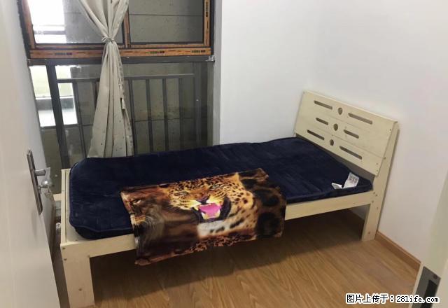 无中介费，2500新中国际包物业实惠房源首租 - 房屋出租 - 房屋租售 - 嘉兴分类信息 - 嘉兴28生活网 jx.28life.net