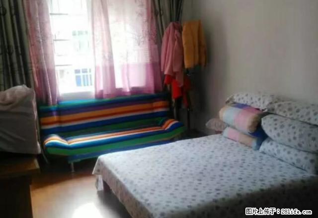 月河附近，清河西区，少年公寓，荷花堤多套出租，精装，设施齐全 - 房屋出租 - 房屋租售 - 嘉兴分类信息 - 嘉兴28生活网 jx.28life.net