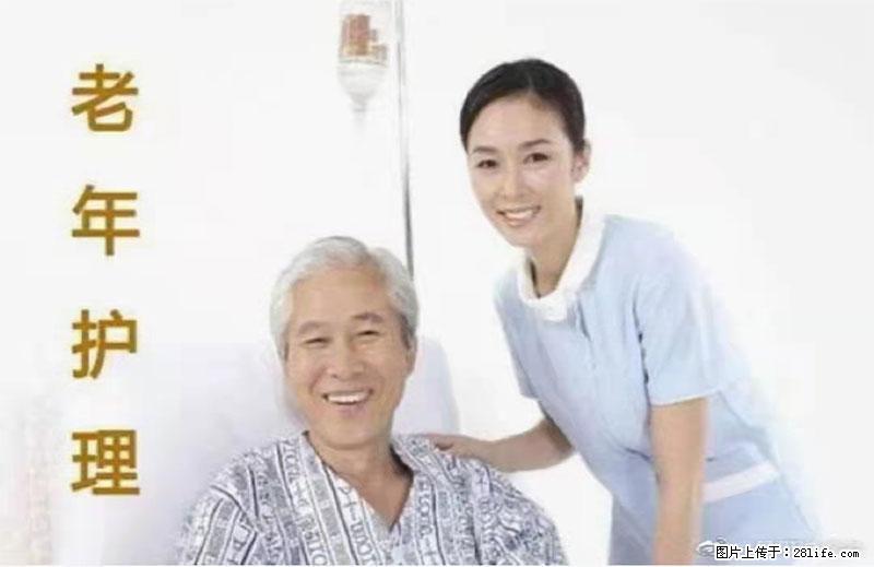 上海国企养老院，星级酒店环境，招聘养老护工 - 职场交流 - 嘉兴生活社区 - 嘉兴28生活网 jx.28life.net