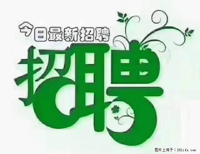 【招聘摄像师】待遇：试用期6000元/月，转正7000元/月+五险一金+餐补+节日福利+奖金 - 其他招聘信息 - 招聘求职 - 嘉兴分类信息 - 嘉兴28生活网 jx.28life.net