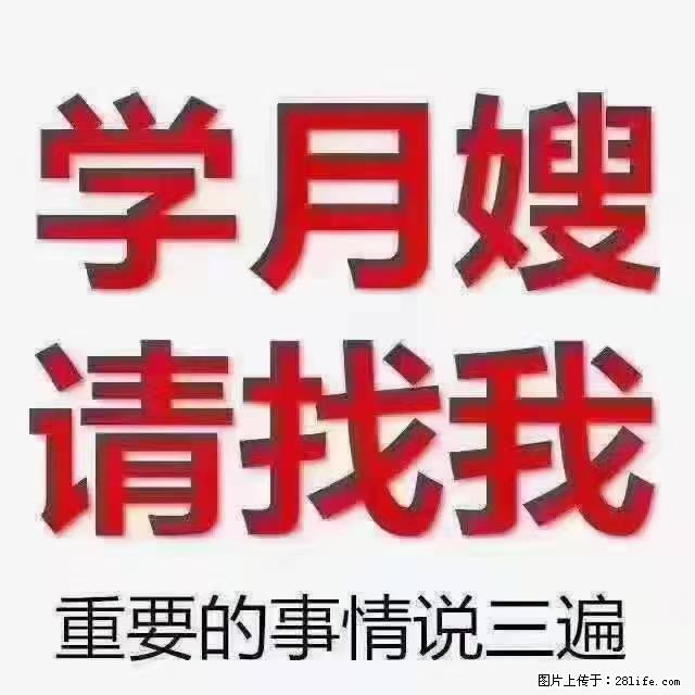 【招聘】月嫂，上海徐汇区 - 职场交流 - 嘉兴生活社区 - 嘉兴28生活网 jx.28life.net