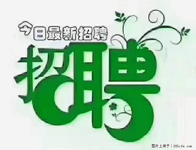 上海青浦区招仓管 - 职场交流 - 嘉兴生活社区 - 嘉兴28生活网 jx.28life.net