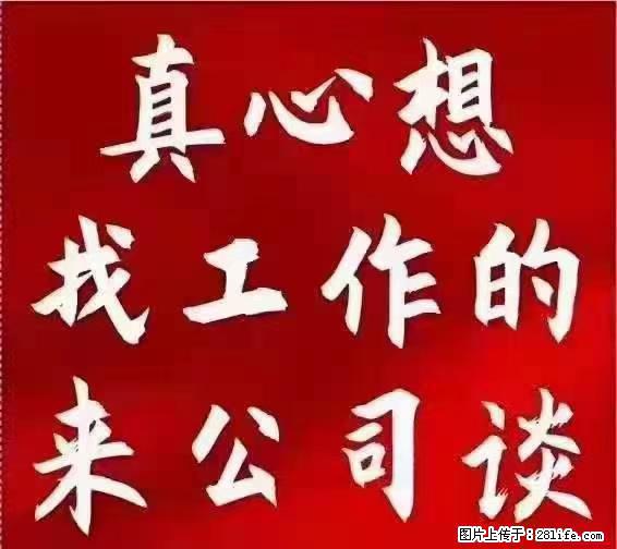 【上海】国企，医院招两名男保安，55岁以下，身高1.7米以上，无犯罪记录不良嗜好 - 职场交流 - 嘉兴生活社区 - 嘉兴28生活网 jx.28life.net