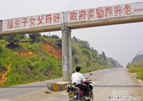 全面两孩政策计划明年元旦起实施 夫妻可延长生育假 - 嘉兴生活资讯 - 嘉兴28生活网 jx.28life.net