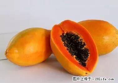 晕车、脚气、牙齿变黄、皮肤粗糙？学会这些三分钟搞定！ - 嘉兴生活资讯 - 嘉兴28生活网 jx.28life.net