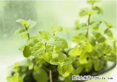 晕车、脚气、牙齿变黄、皮肤粗糙？学会这些三分钟搞定！ - 嘉兴生活资讯 - 嘉兴28生活网 jx.28life.net