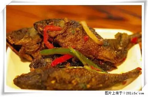 来广西旅游必吃这20道桂菜，不然就白来广西啦！ - 嘉兴生活资讯 - 嘉兴28生活网 jx.28life.net
