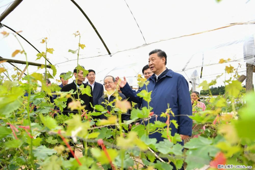 习近平赴广西考察调研 - 嘉兴生活资讯 - 嘉兴28生活网 jx.28life.net