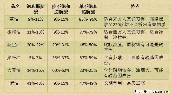 揭秘茶油的5大核心营养成分！被称为人体健康的“守护盾”！ - 嘉兴生活资讯 - 嘉兴28生活网 jx.28life.net