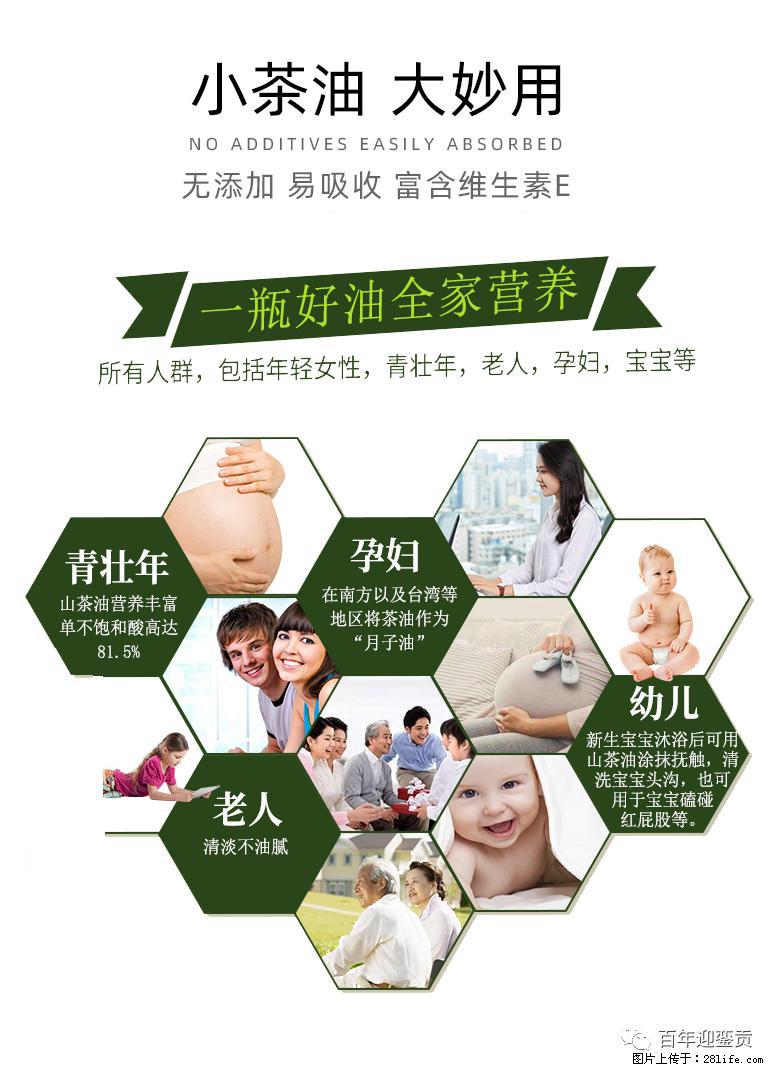 世界没有真相，只有认知，最好的食用油是中国的山茶油！ - 嘉兴生活资讯 - 嘉兴28生活网 jx.28life.net